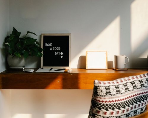 A tidy workspace with a potted plant and natural sunlight